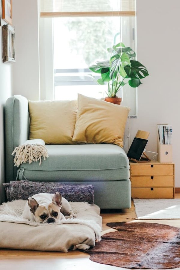 Les 10 meilleurs styles de fenêtres pour votre maison